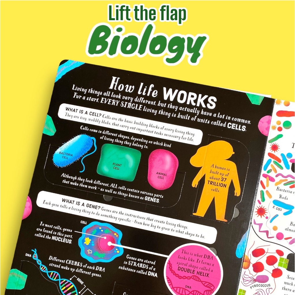 Sách 𝐋𝐢𝐟𝐭-𝐭𝐡𝐞-𝐅𝐥𝐚𝐩 𝐁𝐢𝐨𝐥𝐨𝐠𝐲 – tìm hiểu sinh học bằng ngôn ngữ tiếng anh dành cho học sinh