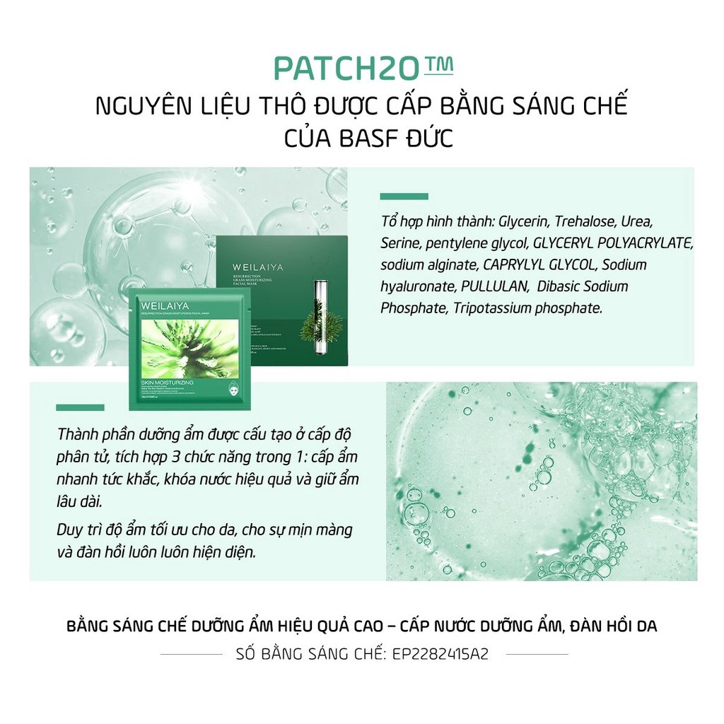 Combo Mặt Nạ Tái Sinh Cỏ Vạn Năm và Mặt Nạ Trắng Da, Hồng Vạn Cánh Weilaiya Hộp 10 miếng, Facial Mask - Gazumi Beauty