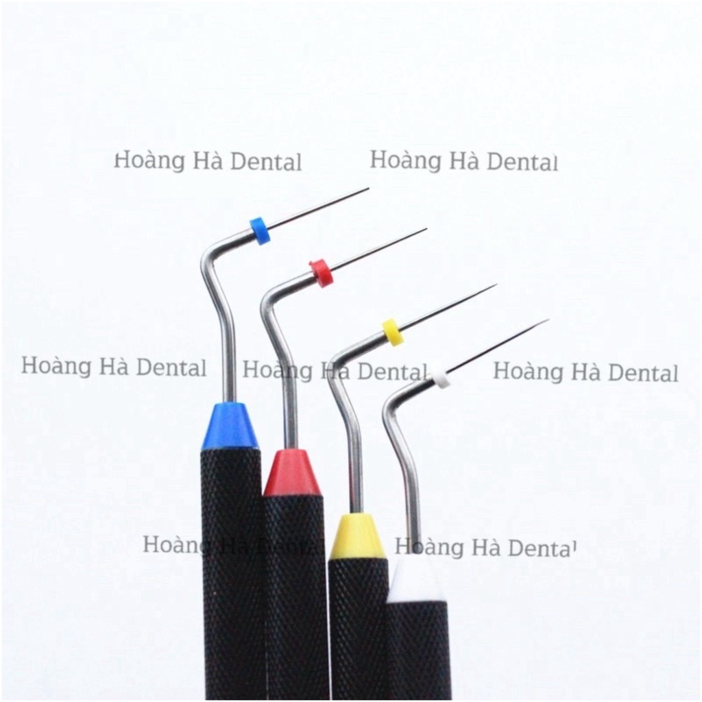 CÂY LÈN BUCHAN  Nha khoa chỉnh nha niềng răng -LC01