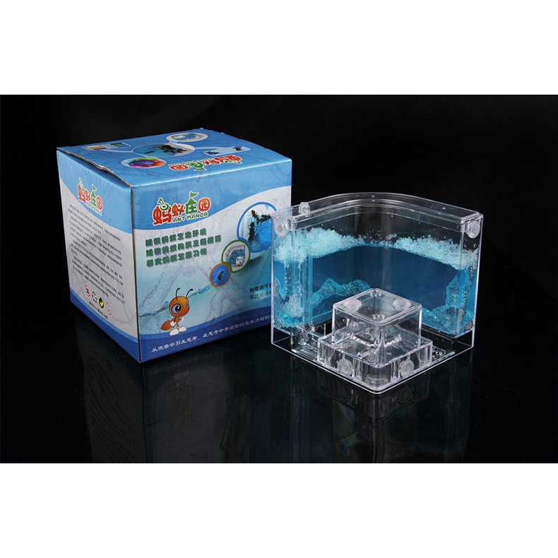 Bộ đồ chơi khoa học nuôi kiến 4D Ant Works nhiều màu – Phiên bản mới