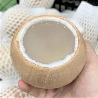 Dừa xiêm Bến Tre