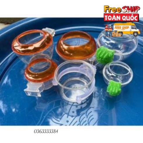 Cóng chim chào mào cóng chim khuyên cóng nhựa Cóng họa mi Lacoda phụ kiện chim cảnh