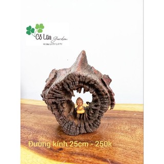 Gỗ lũa trưng bày