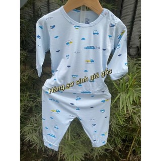 bộ dài hoa văn màu peptit sơi tre