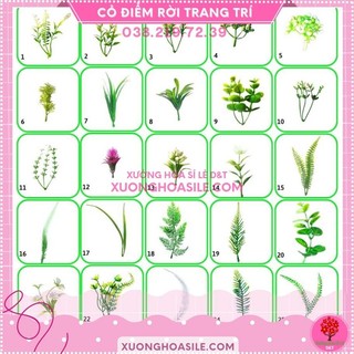 CỎ ĐIỂM RỜI (100GR), HOA CỎ TRANG TRÍ, CỎ TRANG TRÍ