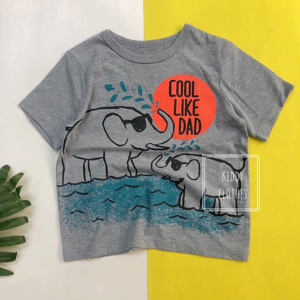 Áo thun bé trai hãng dư xịn chất cotton mềm mịn - nhiều mẫu