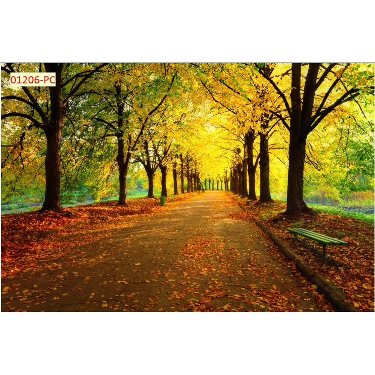 Tranh 3D mùa thu dán tường trang trí