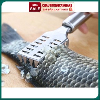 Dụng cụ đánh vảy cá bằng INOX loại 1, thông minh, chống bắn bẩn, sạch sẽ cho nhà bếp, nội trợ tin tưởng sử dụng