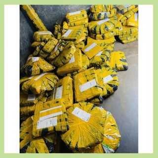 Thớt gỗ nghiến Tây Bắc hình chữ nhật kích thước 24x28 để cắt, thái đồ ăn