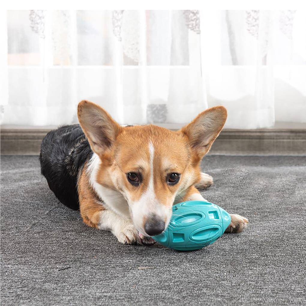 Bóng Cao Su Đồ Chơi Cho Thú Cưng