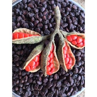 1kg HẠT DỔI