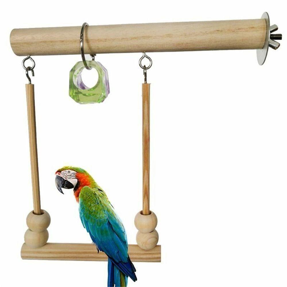 Nhánh Cây Đứng Xinh Xắn Cho Vẹt Cưng