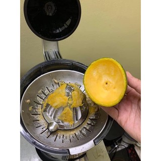 Máy vắt cam caso cp330 pro