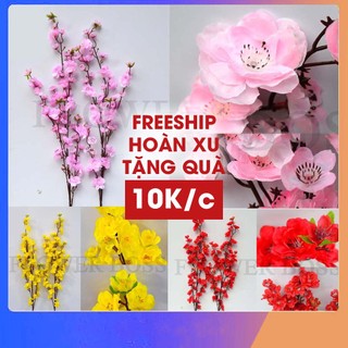 [SỈ TẠI XƯỞNG] Hoa mai, hoa đào giả cành 5 nhánh cao 1m - Trang trí tết