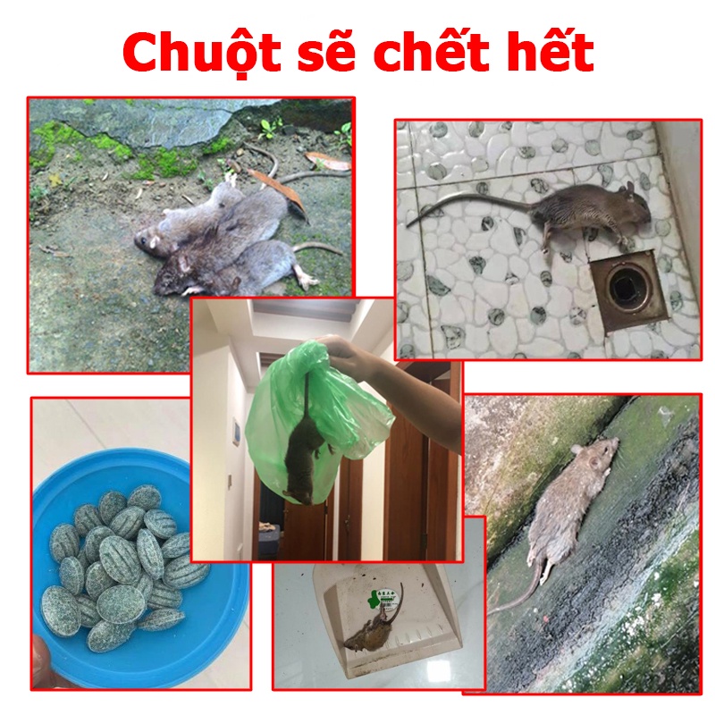 Chết Nhanh！Thuốc diệt chuột 30 gói*20g ăn vào là tử vong ngay，Thuốc Diệt Chuột Cực Mạnh