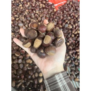 Hạt dẻ sống tươi mới ship nhanh hà nội