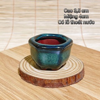 Chậu bí gốm sứ mini cao 4,5 cm