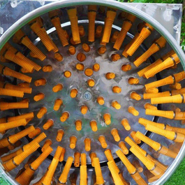 Combo 50 Núm cao su vặt lông gà, lông vịt màu vàng + đen, núm cao cấp, chất liệu cao su thiên nhiên mềm, dẻo, độ bền cao