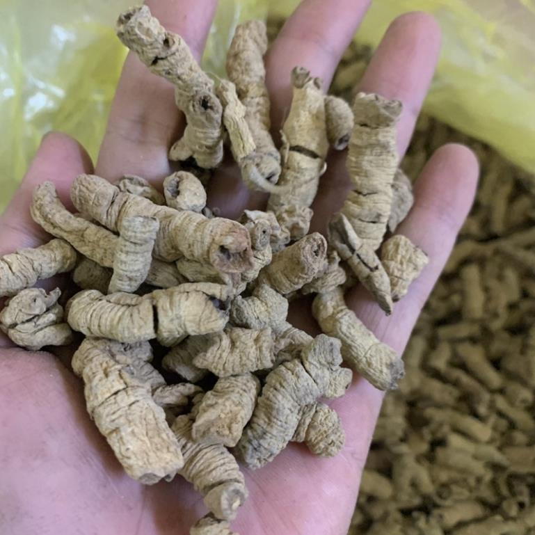 Củ Ba Kích Tím Khô (Đã Bỏ Lõi) 100g