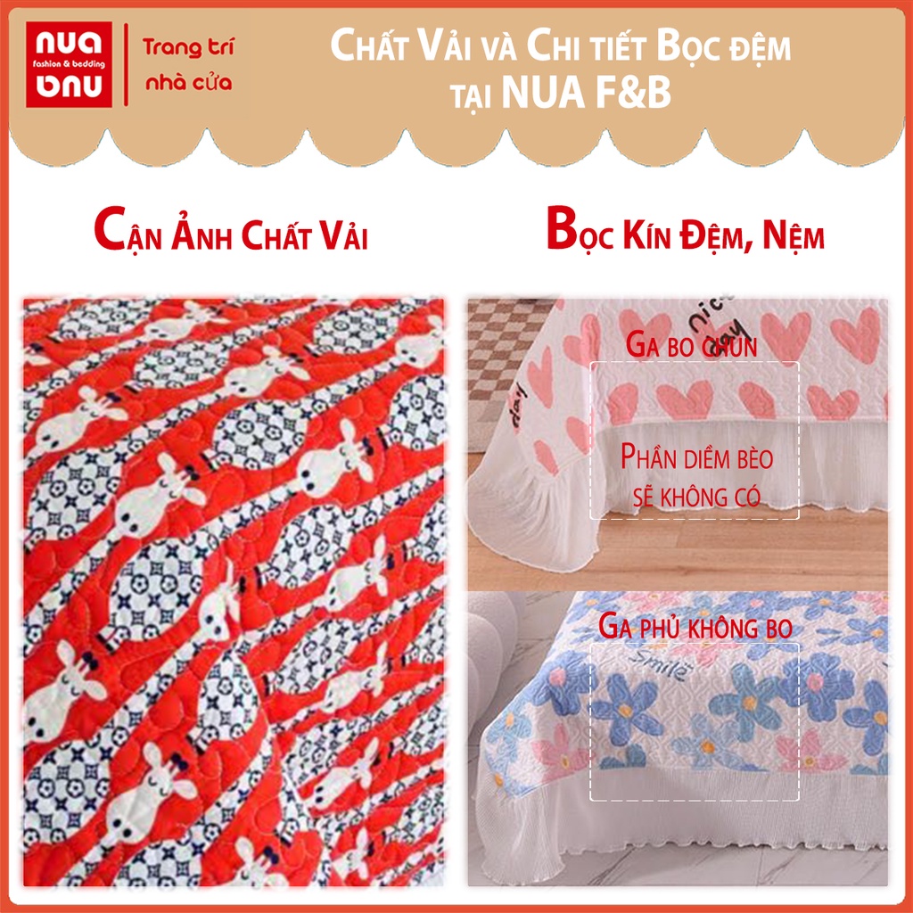 Bộ ga giường cotton đũi trần bông diềm bèo ngắn ga gối cotton đũi phủ hoặc bo chun không diềm bèo