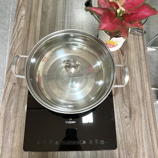 Bếp Từ smartcook Elmich 4023873