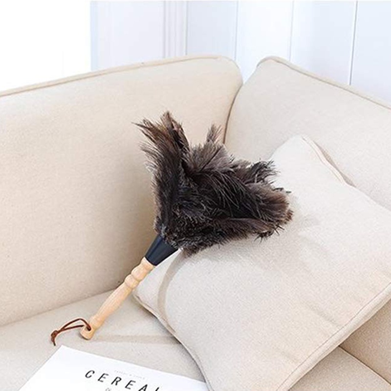 Chổi Lông Đà Điểu Phủi Bụi Cỡ Nhỏ Tiện Dụng Cho Gia Đình