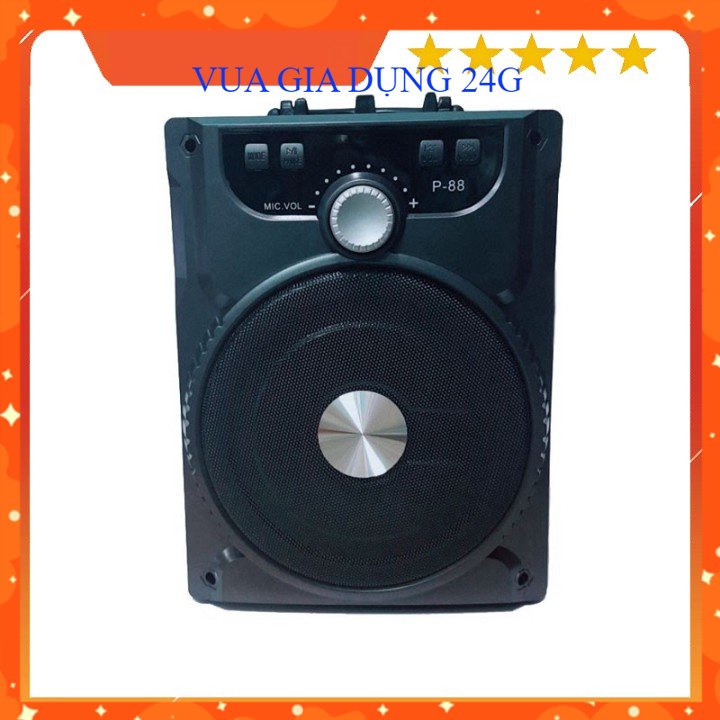 Loa Bluetooth Ruizu P88 + Mic Có Dây