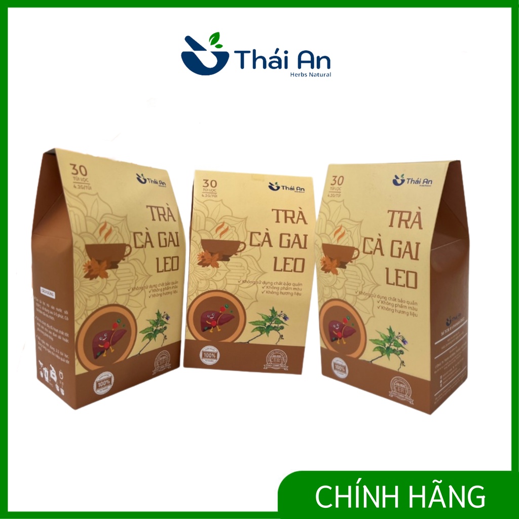 Combo 3 Trà Cà Gai Leo Túi Lọc Thái An Hỗ Trợ Giải Độc, Mát Gan, Thanh Lọc Cơ Thể