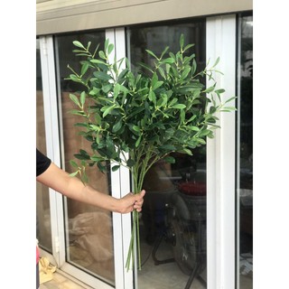 Cành ô liu giả - Cành olive - Chất liệu cao cấp -hoa giả, hoa lụa- Hàng loại 1