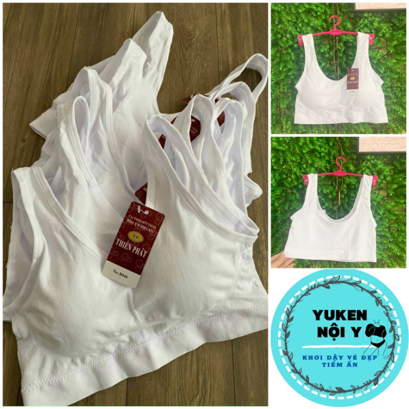 Áo Lót Dạng Chui Cho Bé-Áo Lá Xuất Khẩu Cho Gái Cấp 1,2,3 AB1