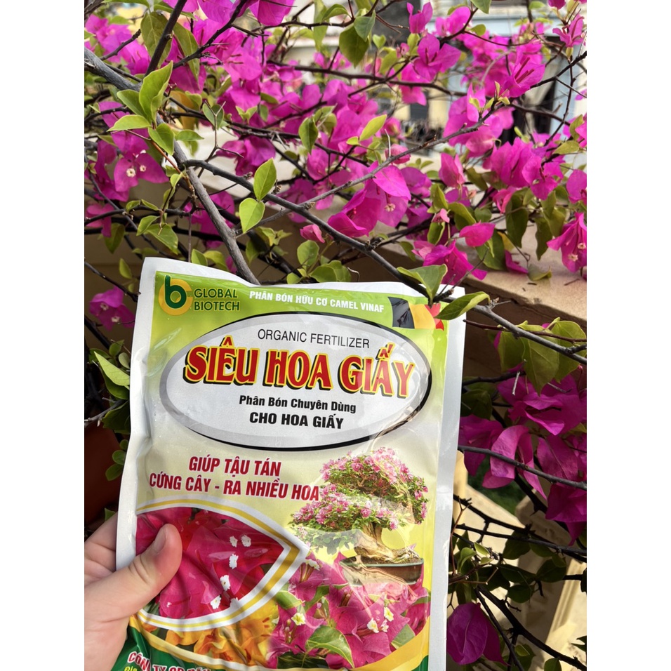 Phân bón hữu cơ SIÊU HOA GIẤY giúp tán cứng cáp, ra hoa nhiều 700gt