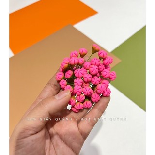 BÓ 50 NỤ MAI/ĐÀO ĐẤT SÉT