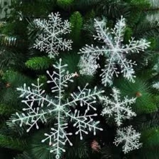 Combo 6 bông tuyết trang trí Noel đường kính/ hoa tuyết trang trí giáng sinh