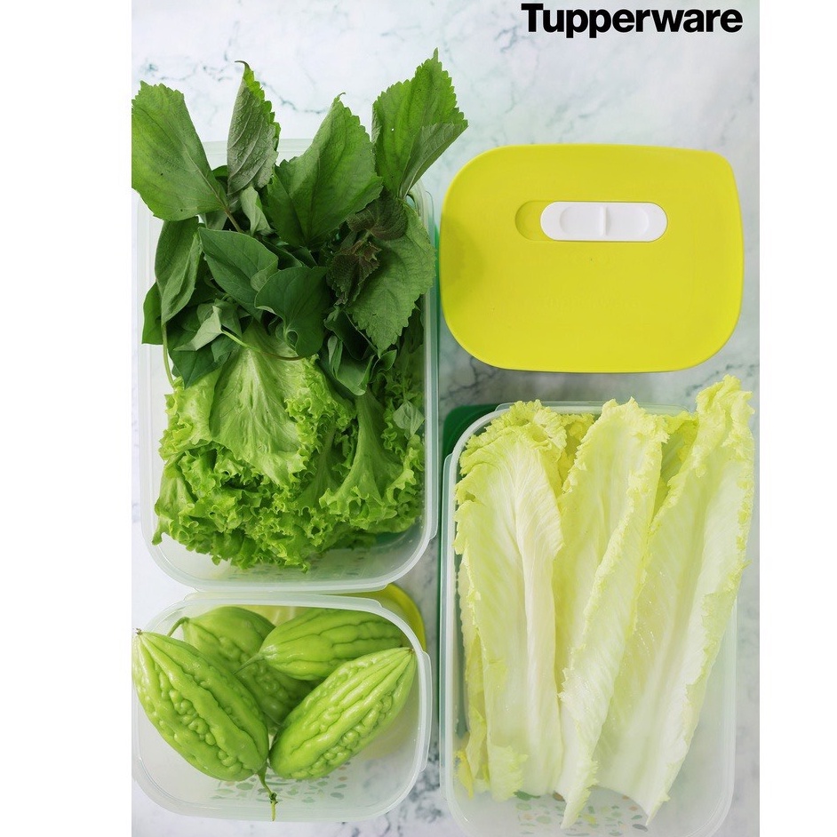 Bộ hộp trữ đông và trữ mát Tupperware Essential Ventsmart - Bảo hành trọn đời - Nhựa nguyên sinh PP số 5 an toàn