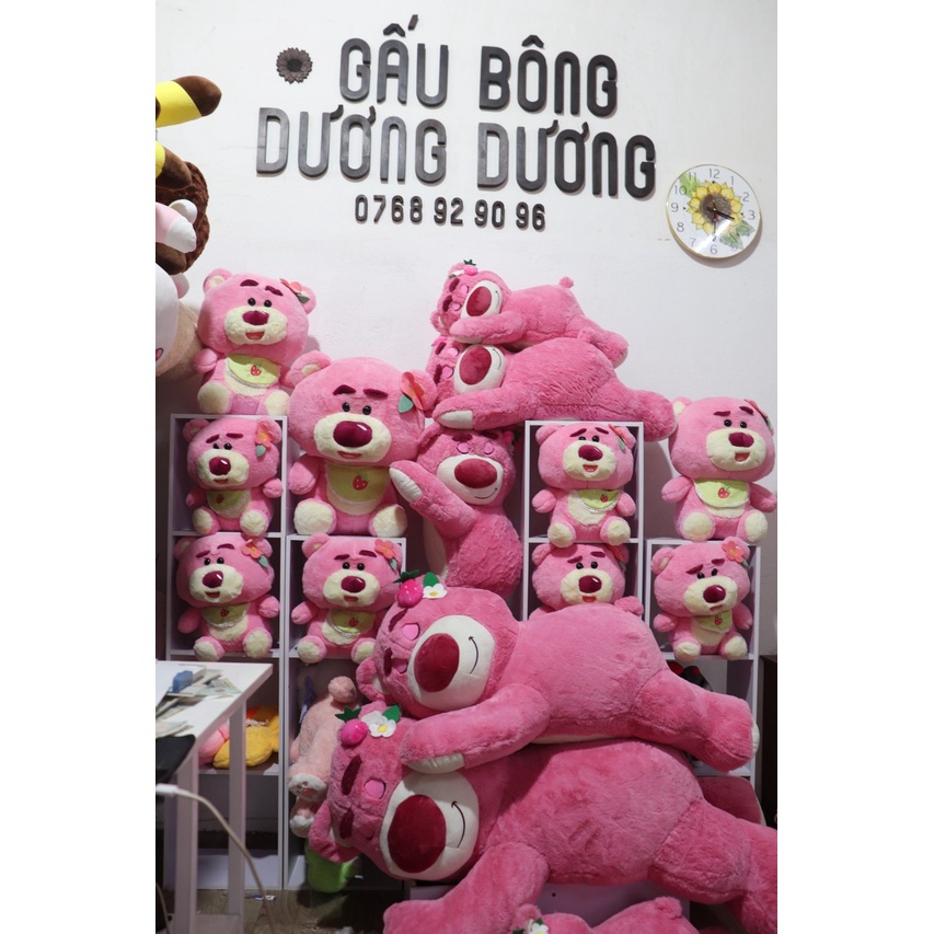 gấu dâu có mền, gấu lotso kèm chăn