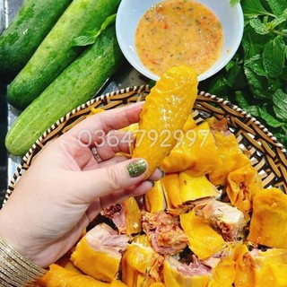 GÀ Ủ MUỐI _ NGUYÊN CON _ NỮA CON