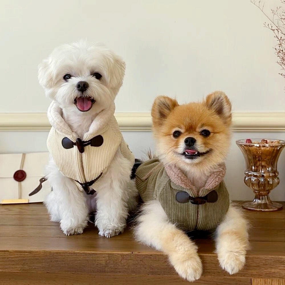 Áo Đệm cotton Dày Dặn Thời Trang Thu Đông Cho Thú Cưng