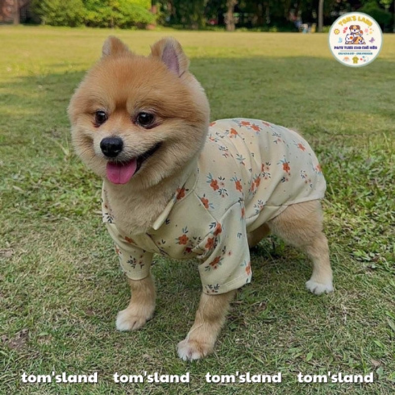 Áo Dài Tết Nhung Tăm Hoạ Tiết Hoa Thu Đông Cho Chó Mèo - Áo Dài Cho Thú Cưng -Siêu Mềm Mại
