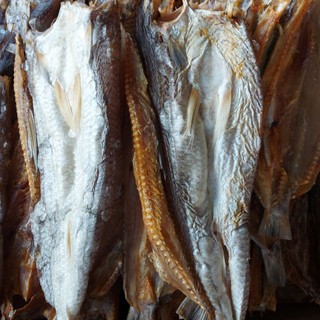1Kg Cá Mối Khô Loại 1.