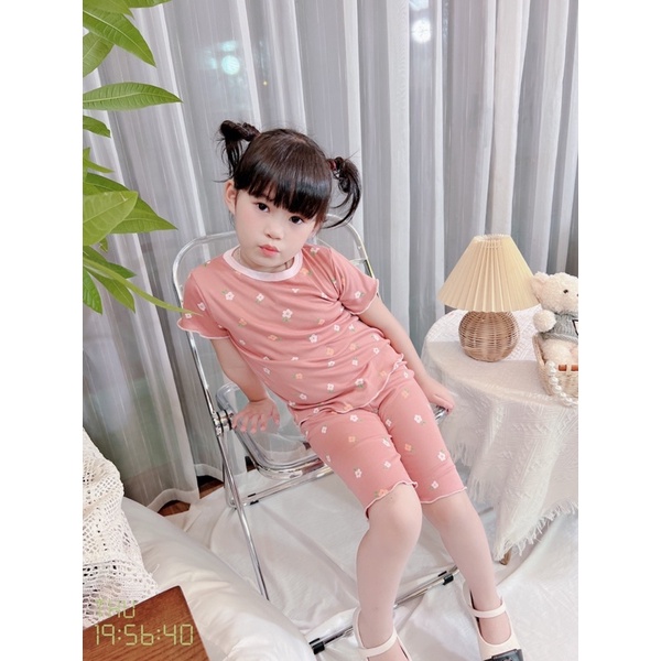 Bộ bozip xuất dư caters nhiều màu in hoa nổi vintage