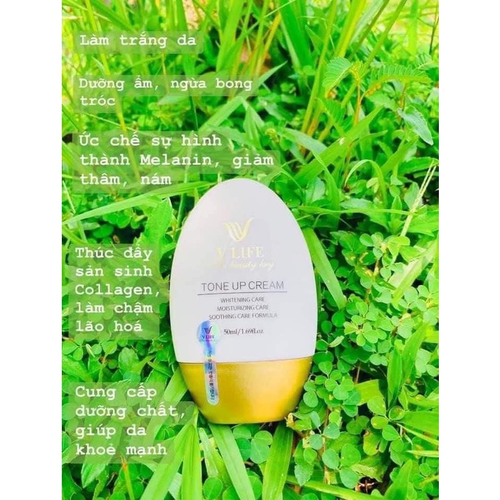 KEM FACE TẾ BÀO GỐC HỒNG SÂM VLIFE _ NHẬP KHẨU HÀN QUỐC_Phiên bản mới dạng tuýp
