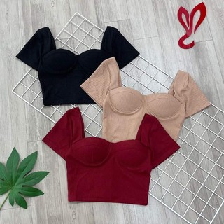 Áo cúp ngực croptop thun gân