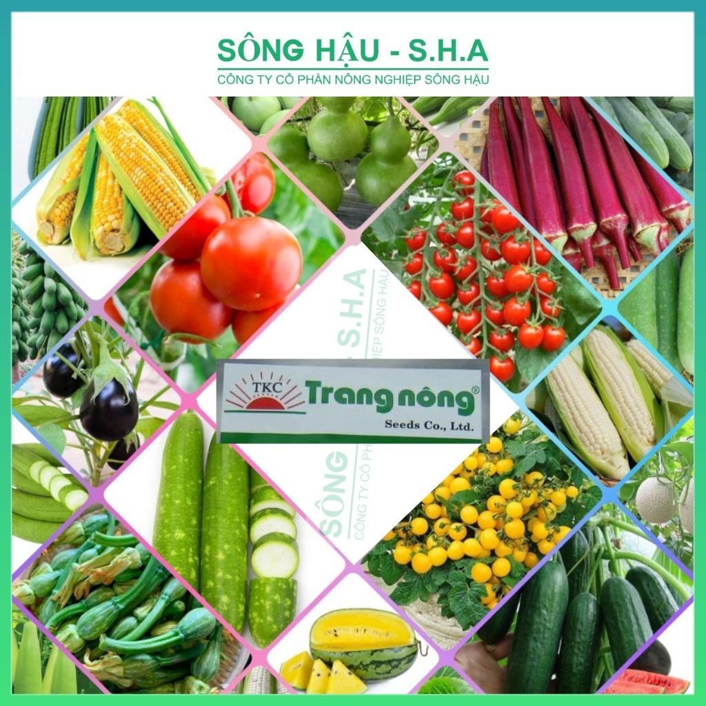 Hạt giống rau củ quả cây trồng, Trang nông rau ăn lá, ăn quả, rau thơm dây leo trồng quanh năm, nảy mầm tốt
