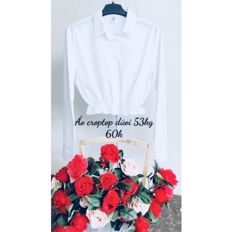 Áo vin dáng croptop