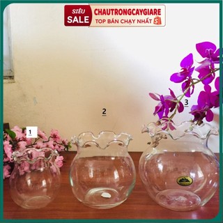 Bình thủy tinh nuôi cá để bàn, chậu nuôi cá mini, chậu trồng cây thủy sinh, bình bông lọ hoa xinh, thiết kế tai bèo