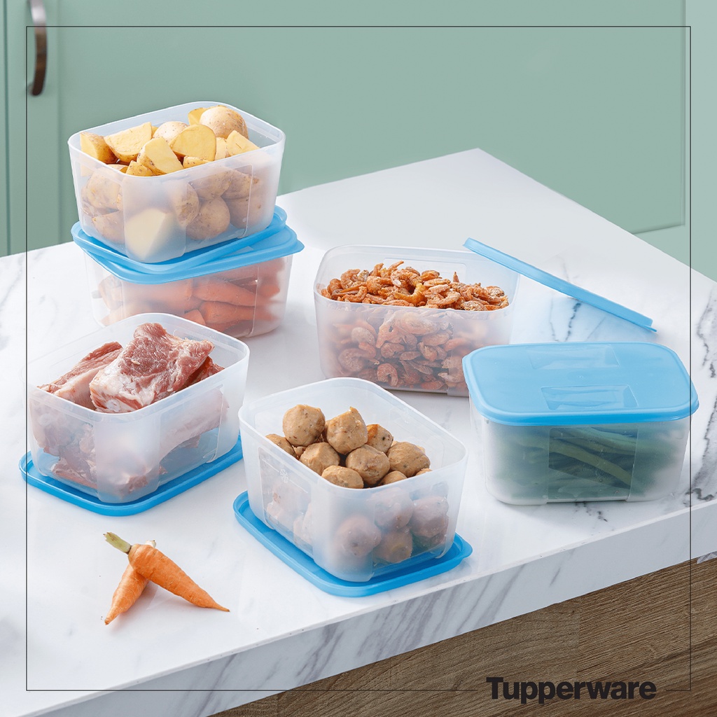 Bộ Hộp Trữ Đông Tupperware Freezermate 650ml  nhựa nguyên sinh