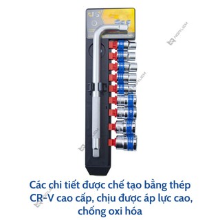 Bộ đầu tuýp Cần L 10 món LS+