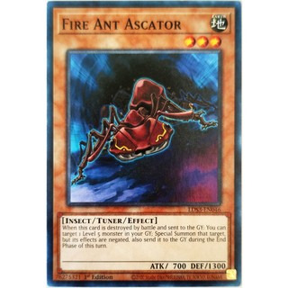 Fire ant ascator |en| common