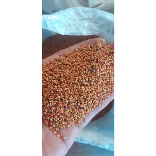 500 gram hạt muồng vàng nhỏ