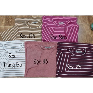 Áo THUN NỮ BODY SỌC BABYTEE